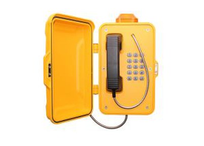 Analoges Notruftelefon für den Außenbereich JR101-FK-L-Analog